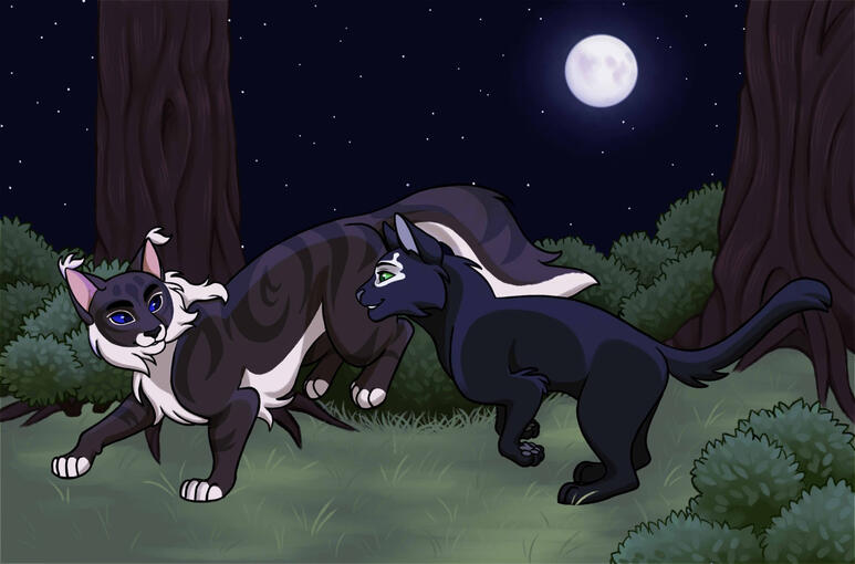 Darkfrost & Drizzleclaw by @/Mistletoe