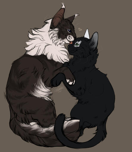 Darkfrost & Drizzleclaw by @/Kibaslovelies